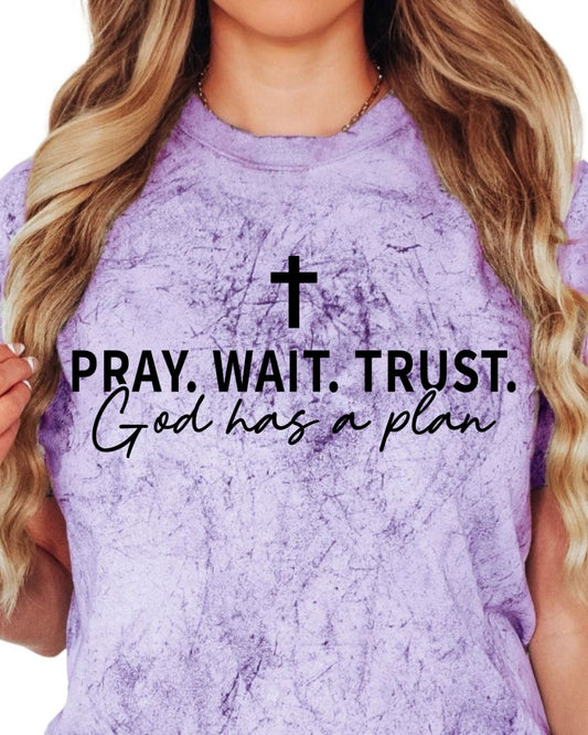 Pray, Wait, Trust God Has a Plan on Color Burst Comfort Colors T-Shirt